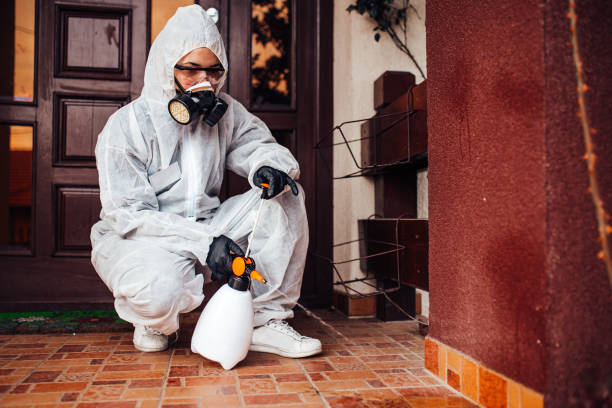 Reliable Rodent Control contractor in South Sarasota, FL by Nex Pest Control