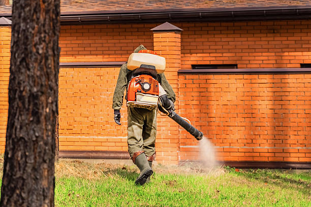 Trusted Emergency Pest Control service in South Sarasota, FL - Nex Pest Control